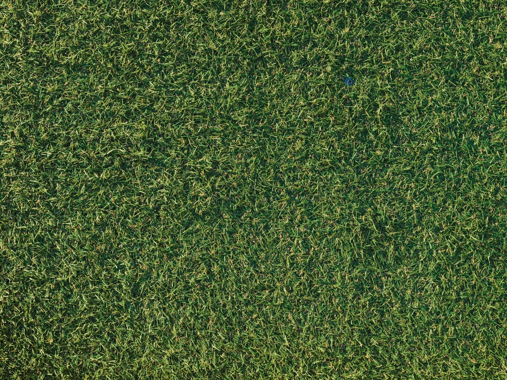 Artificial Turf Installation in Tolleson AZ
