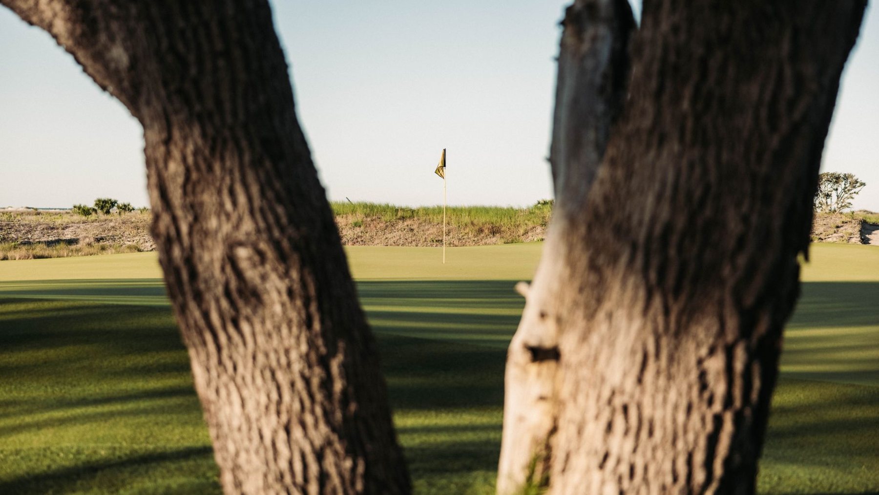 Backyard putting green in Tolleson, AZ